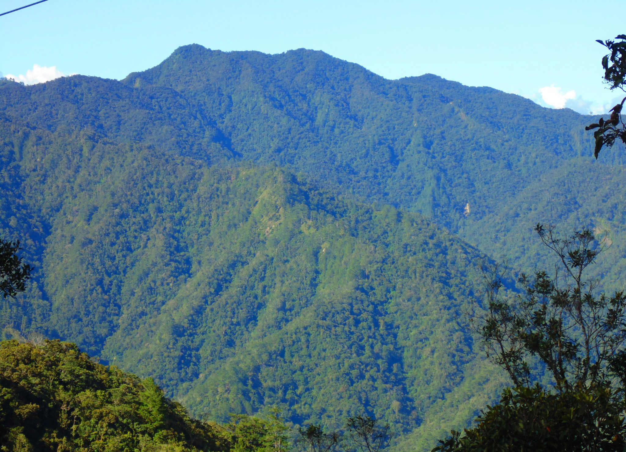 10+ Stunning Forests in the Philippines You Should Visit Now