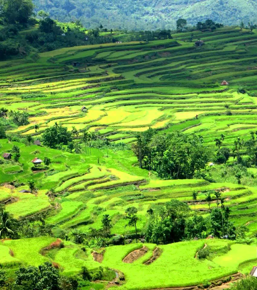 Natonin Rice Terraces is one of the best rice terraces of the Philippine Cordilleras