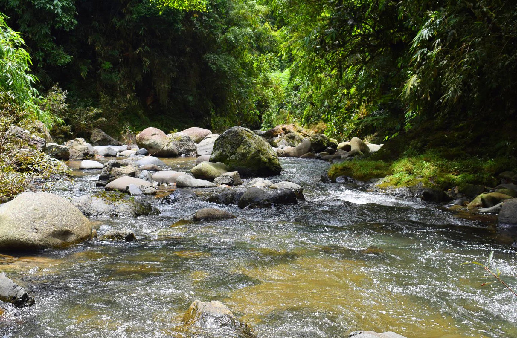 15+ Rivers in the Philippines you've Never Heard Before