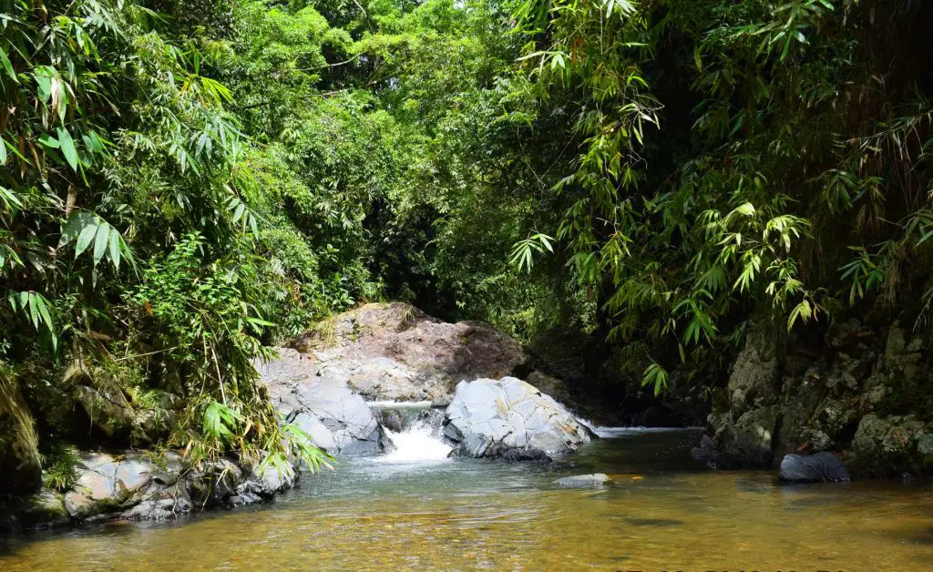 15+ Rivers in the Philippines you've Never Heard Before