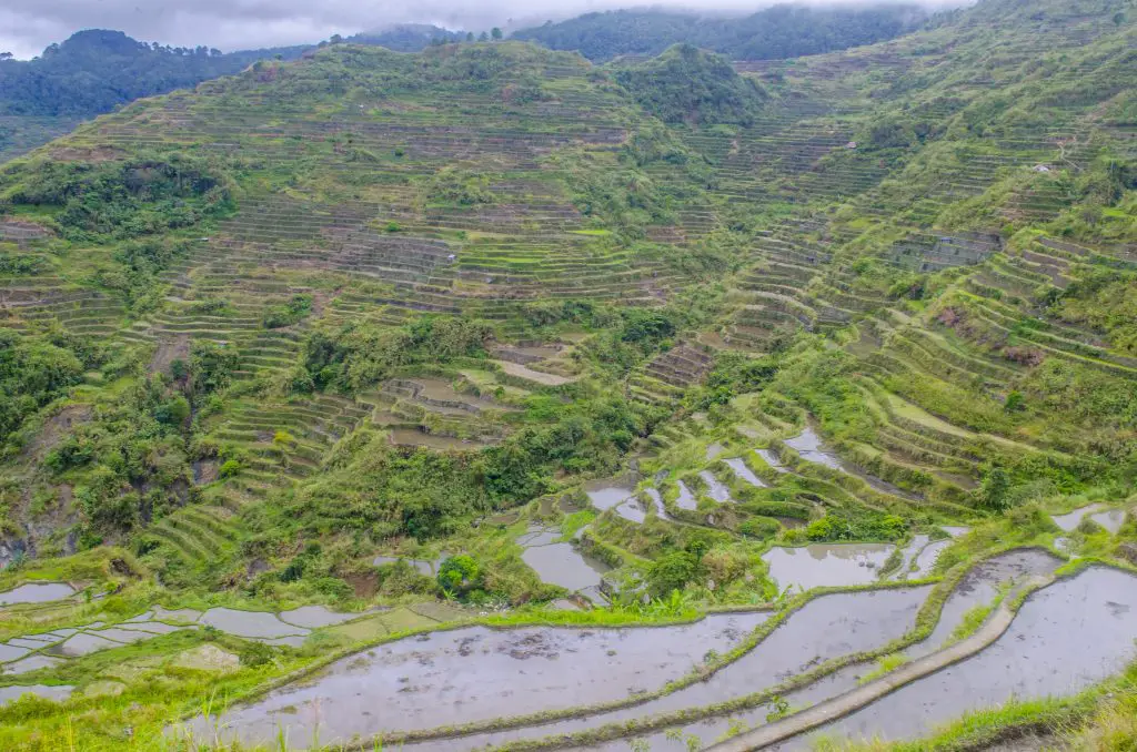 Rice terraces of Belwang, Sadanga