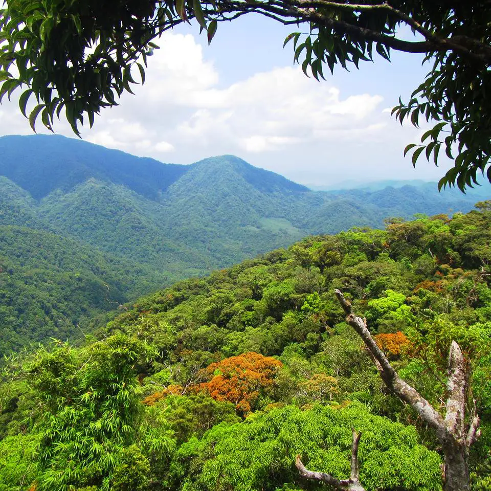 Calanasan forest is one of the best Apayao tourist spots