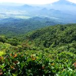 Mt. Makiling via UPLB Trail (Your Complete DIY Travel Guide 2019)