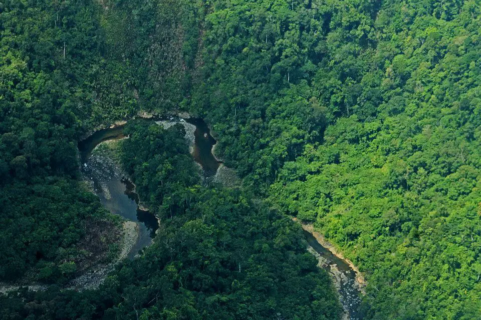 Palanan Rainforest is one of the tourist spots in Isabela province.
