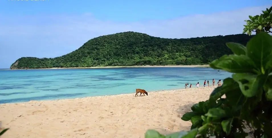Anguib Beach is one of the tourist spots in Cagayan province.