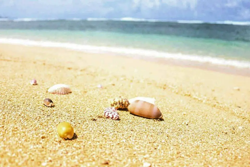 Higunom Island is one of Eastern Samar tourist spots.