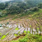Batad Rice Terraces (UPDATED 2020): Your Complete DIY Travel Guide