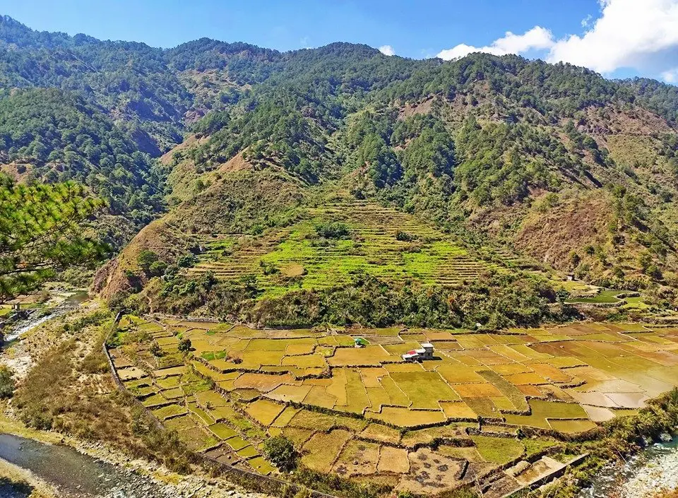 Visitors will pass on these rice terraces when trekking to Mt Kalawitan