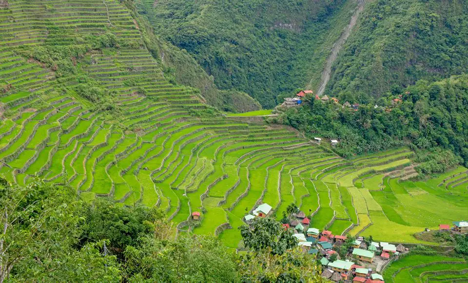 Lush view of Batad Rice Terraces
