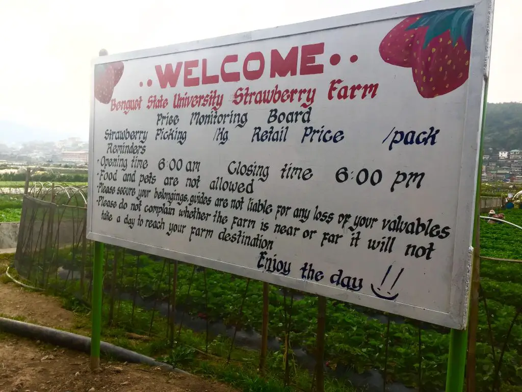 A signage near La Trinidad Strawberry Farm